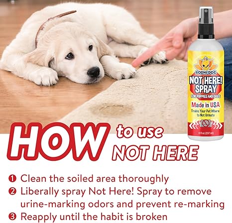 Bodhi Dog Not Here Spray