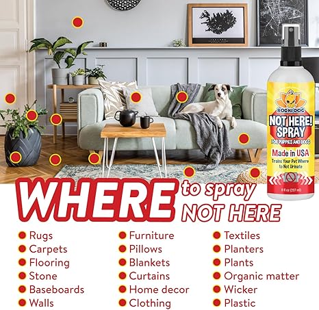 Bodhi Dog Not Here Spray