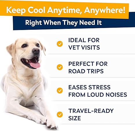 Hemp Calming Chews for Dogs